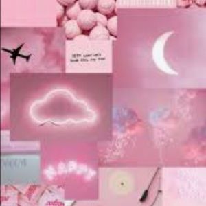 Meet your Posher, Rylie